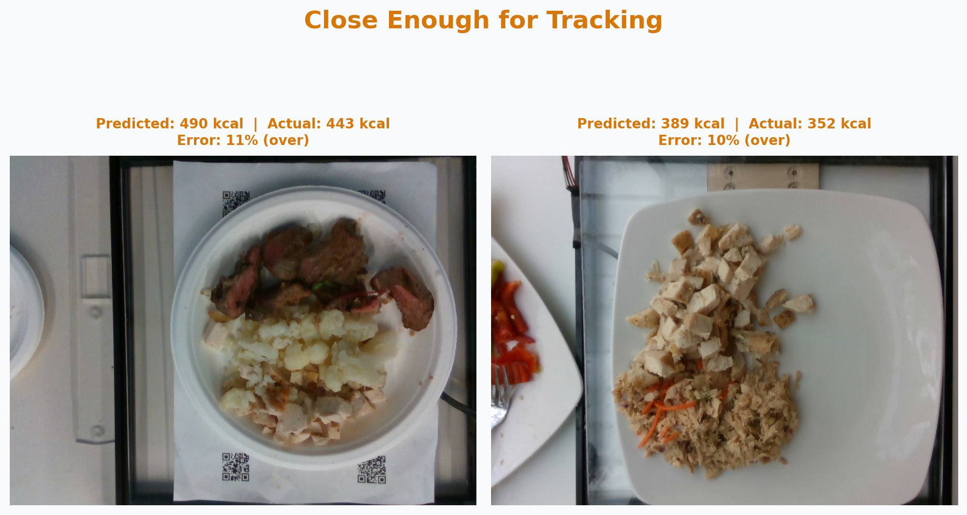 Two meals where the AI was off by about 10%